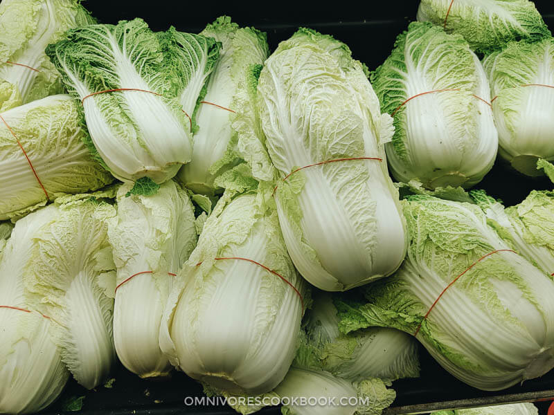 Napa Cabbage