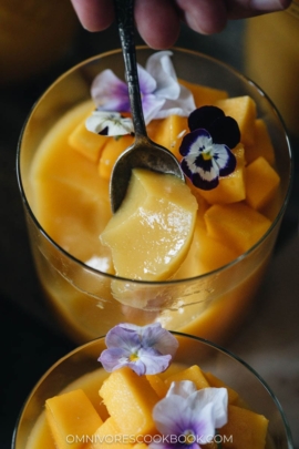 Texture of vegan mango pudding