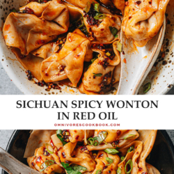 An authentic spicy wonton in chili oil recipe that yields tender wontons smothered in the most scrumptious sauce that is spicy, savory and sweet, just like the street food you’d get in Sichuan