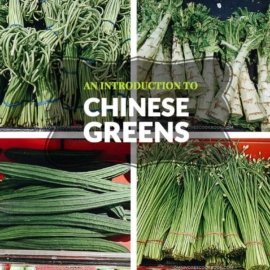 An Introduction to Chinese Greens